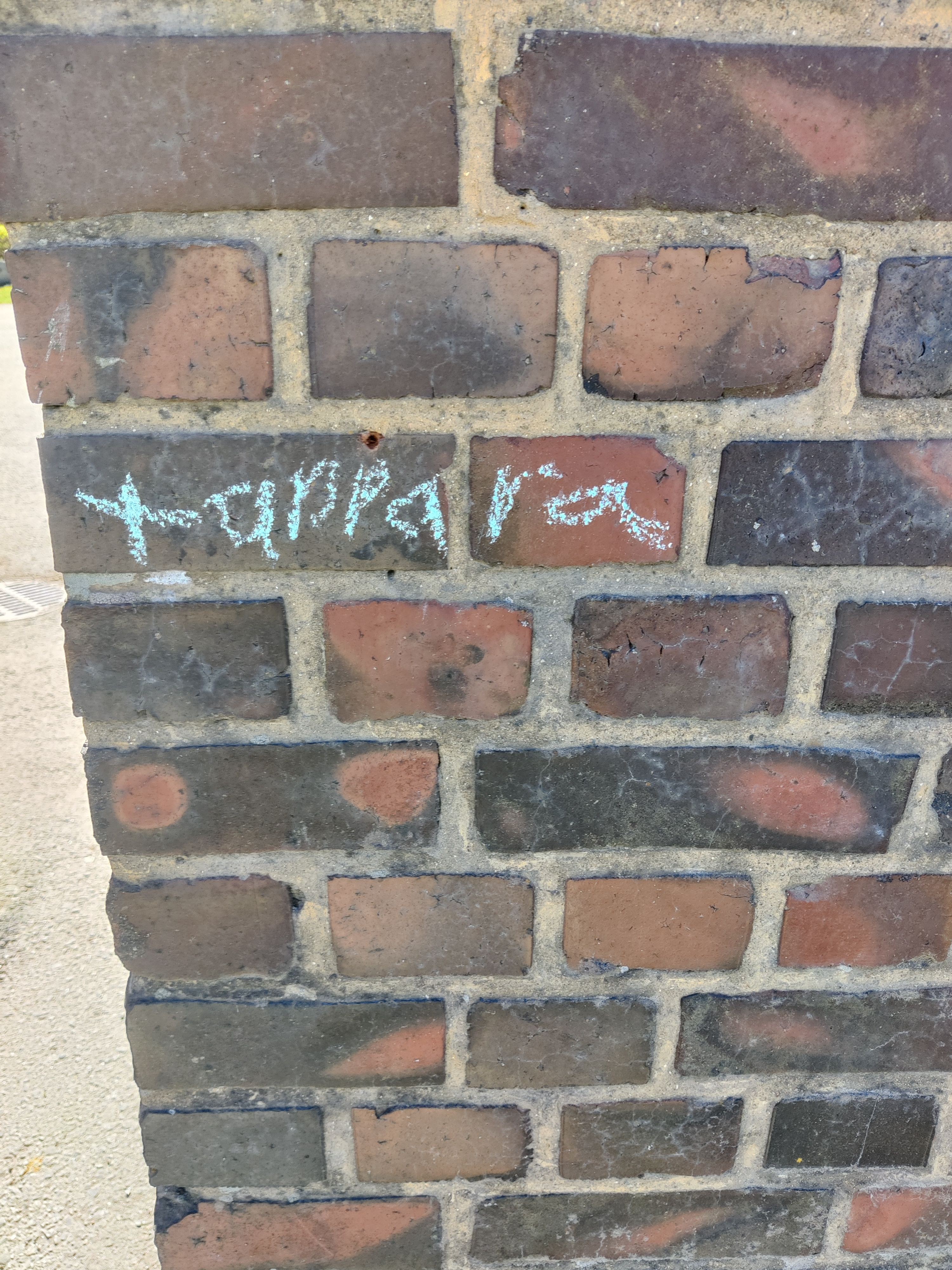 1000033409.jpg