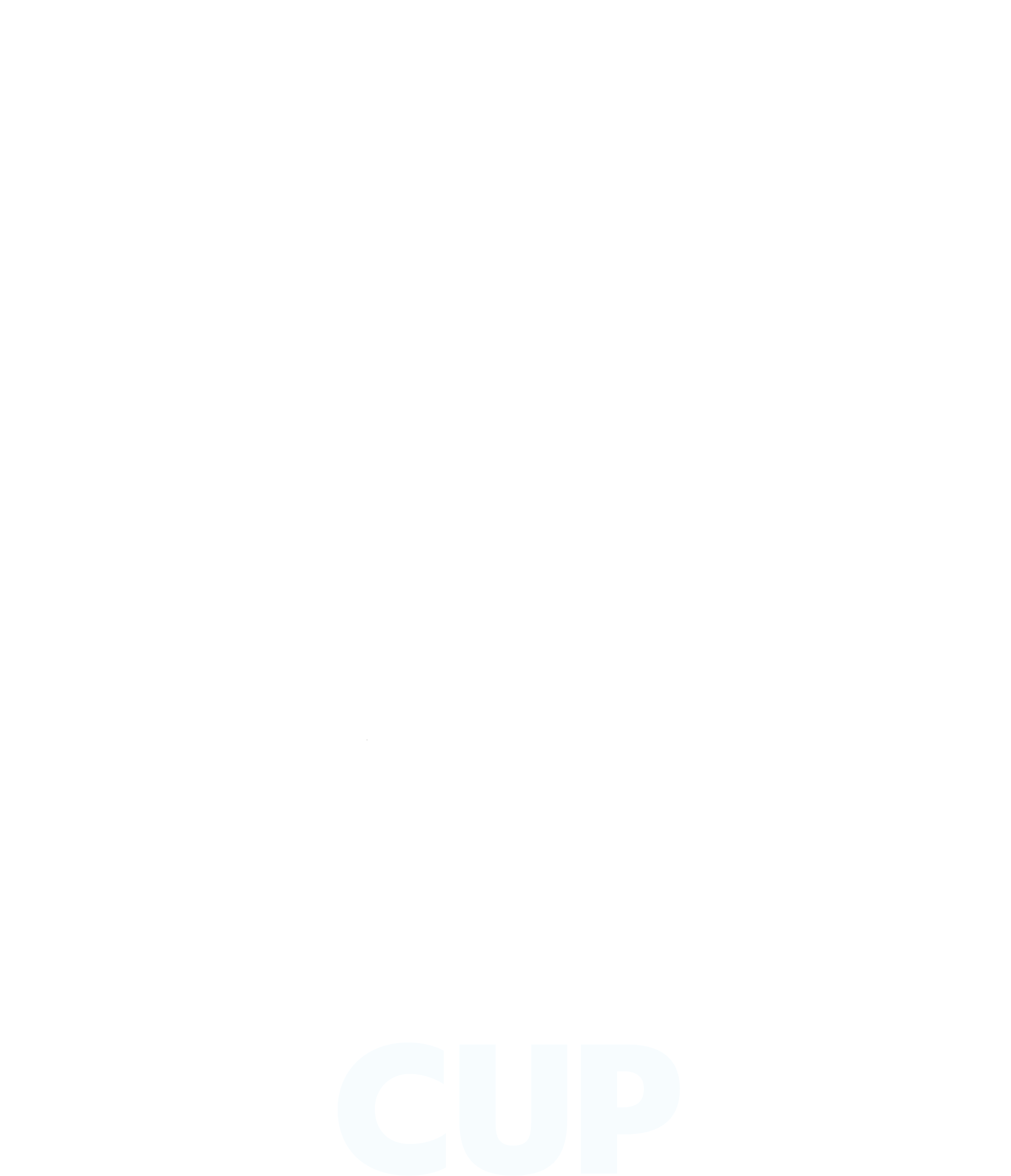 1748267593848.png