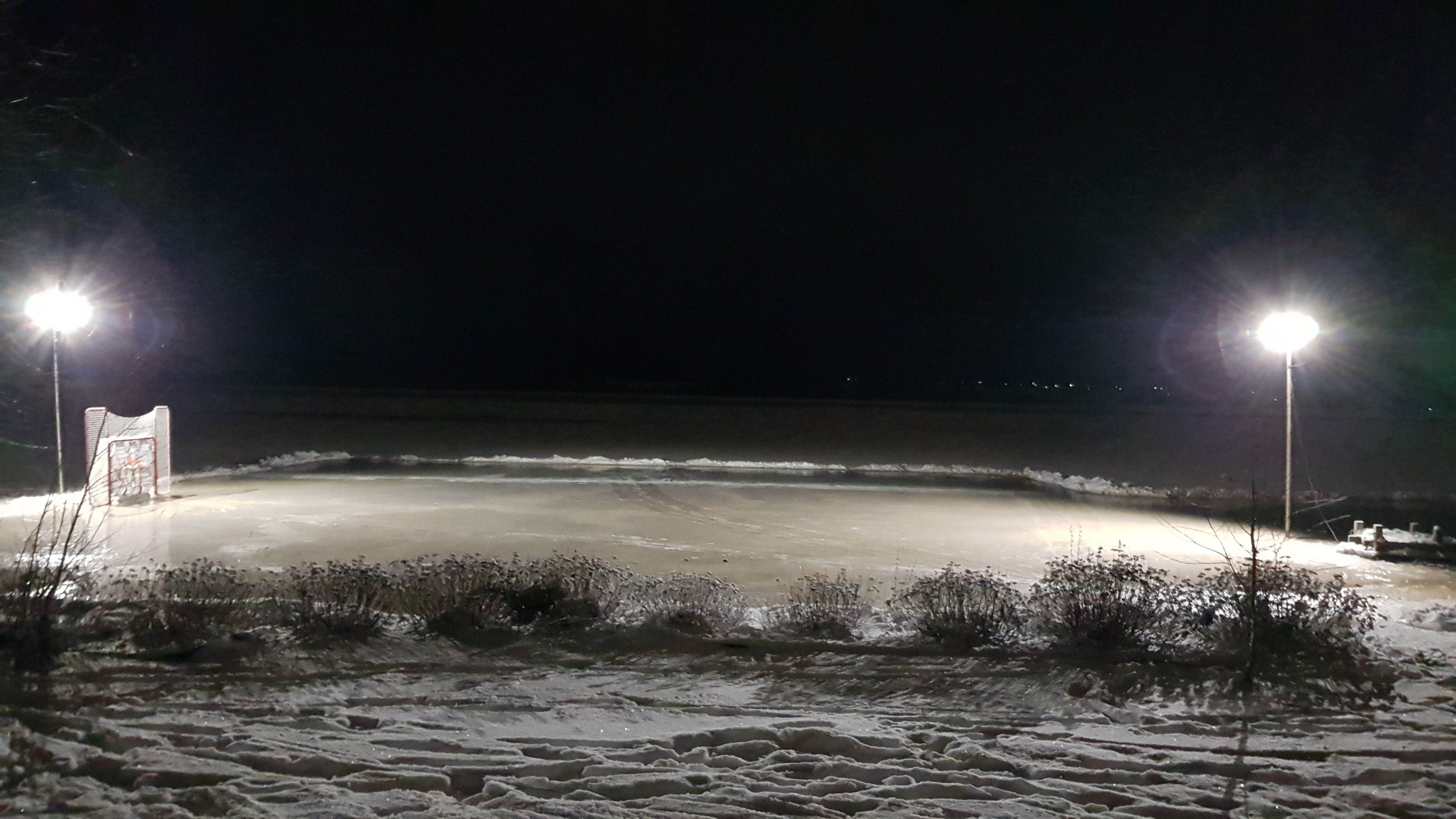 20210128_084900.jpg