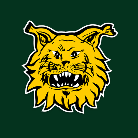 ilves_vs_Rijeka_480.gif
