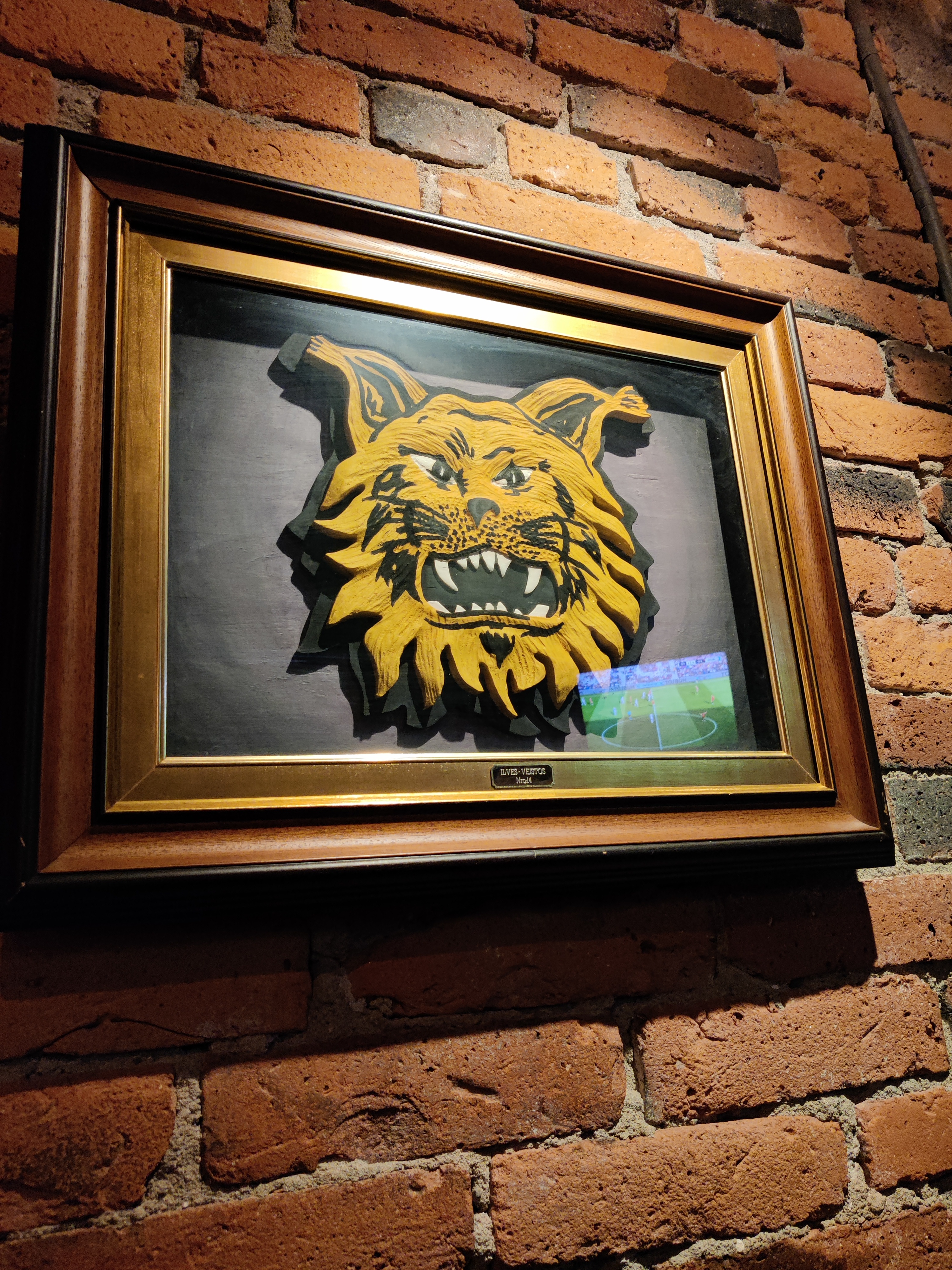 IMG_20220708_200522.jpg