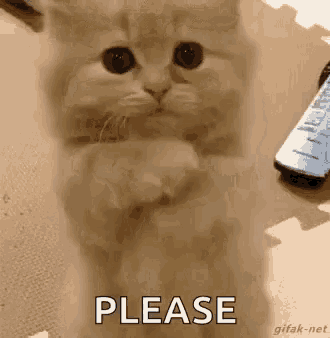 IMG_9859.gif