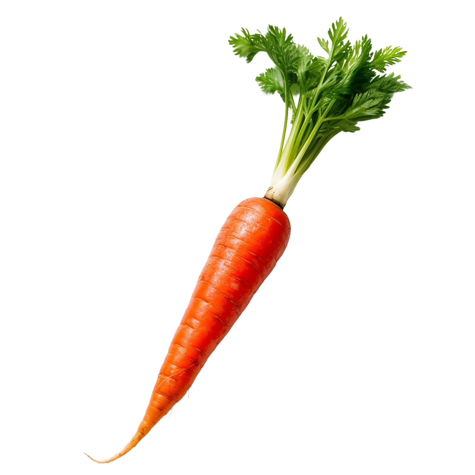 red-carrot-red-carrot-transparent-background-ai-generated-free-png.png