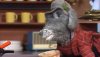 img42509-previewImage.jpg