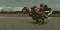 wheelie_x3aguah.gif