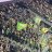 Nottajoen Ilves